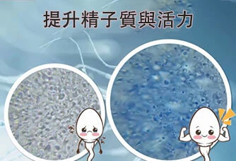 增進生育提升精子品質與活力